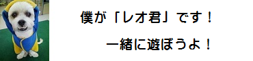 僕が「レオ君」です!一緒に遊ぼうよ!