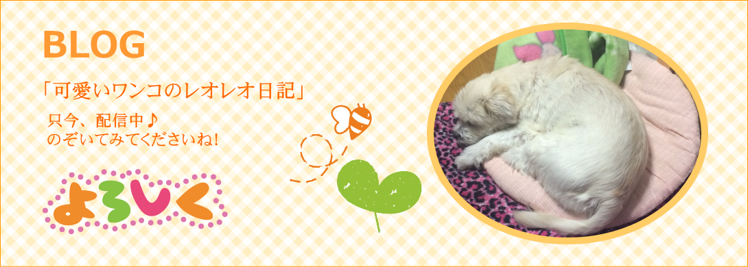 BLOG「可愛いワンコのレオレオ日記」只今、配信中♪のぞいてみてくださいね!